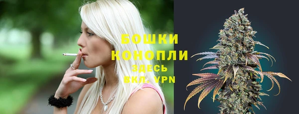 гидра Карталы