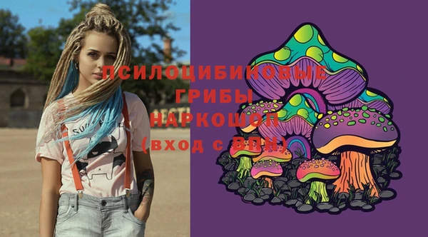 винт Абаза