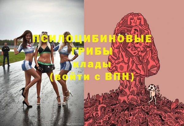 винт Абаза