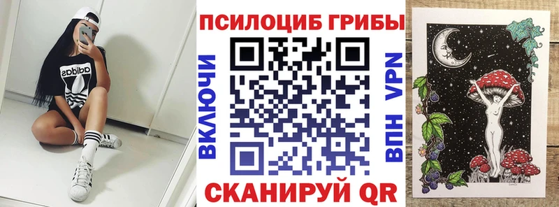 Псилоцибиновые грибы мицелий  MEGA зеркало  Новотроицк 