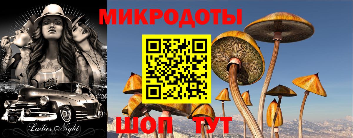 APVP Новотроицк