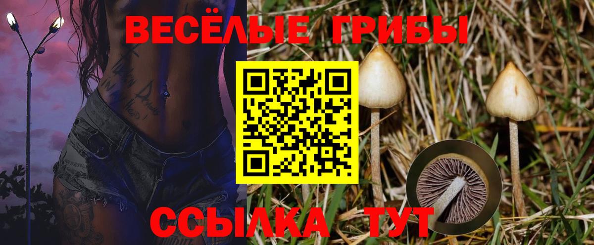 Новотроицк  Псилоцибиновые грибы Cubensis  Вход с VPN  Галлюциногенные грибы GOLDEN TEACHER 
