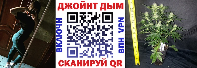 Конопля SATIVA & INDICA  купить наркотики цена  Новотроицк 